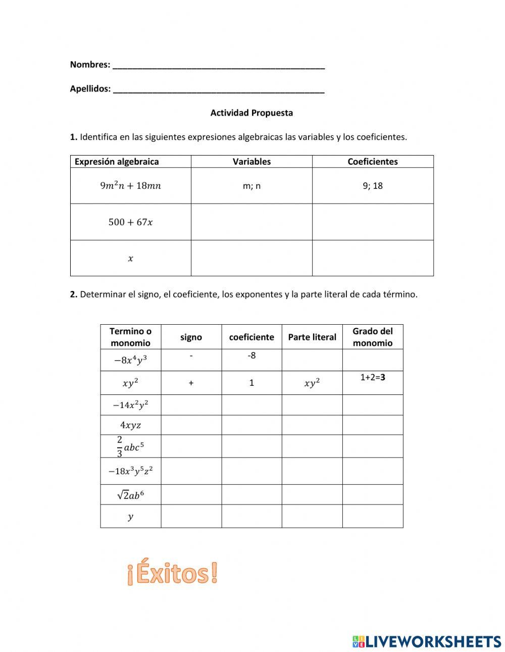Términos  algebraicos