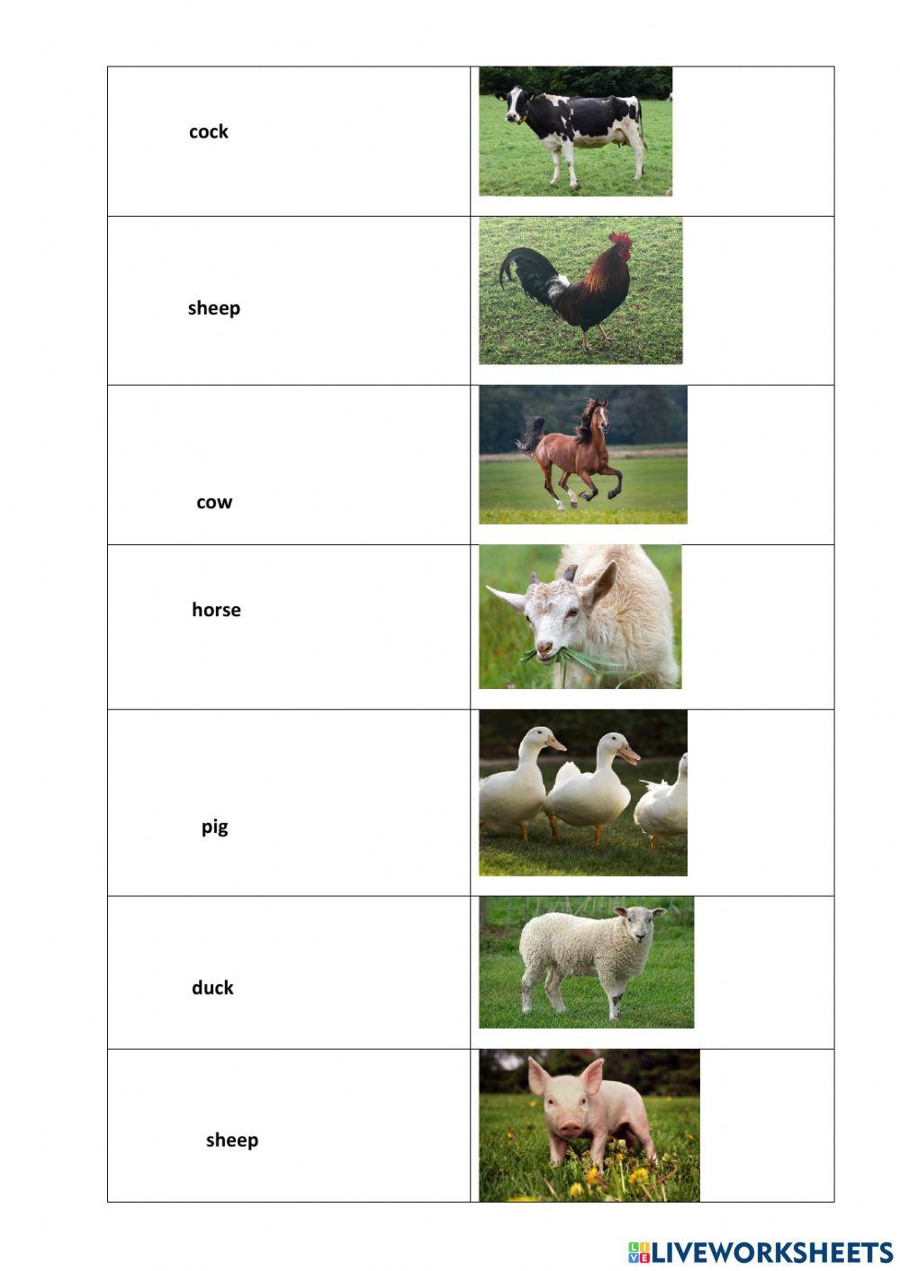 Domestic animals