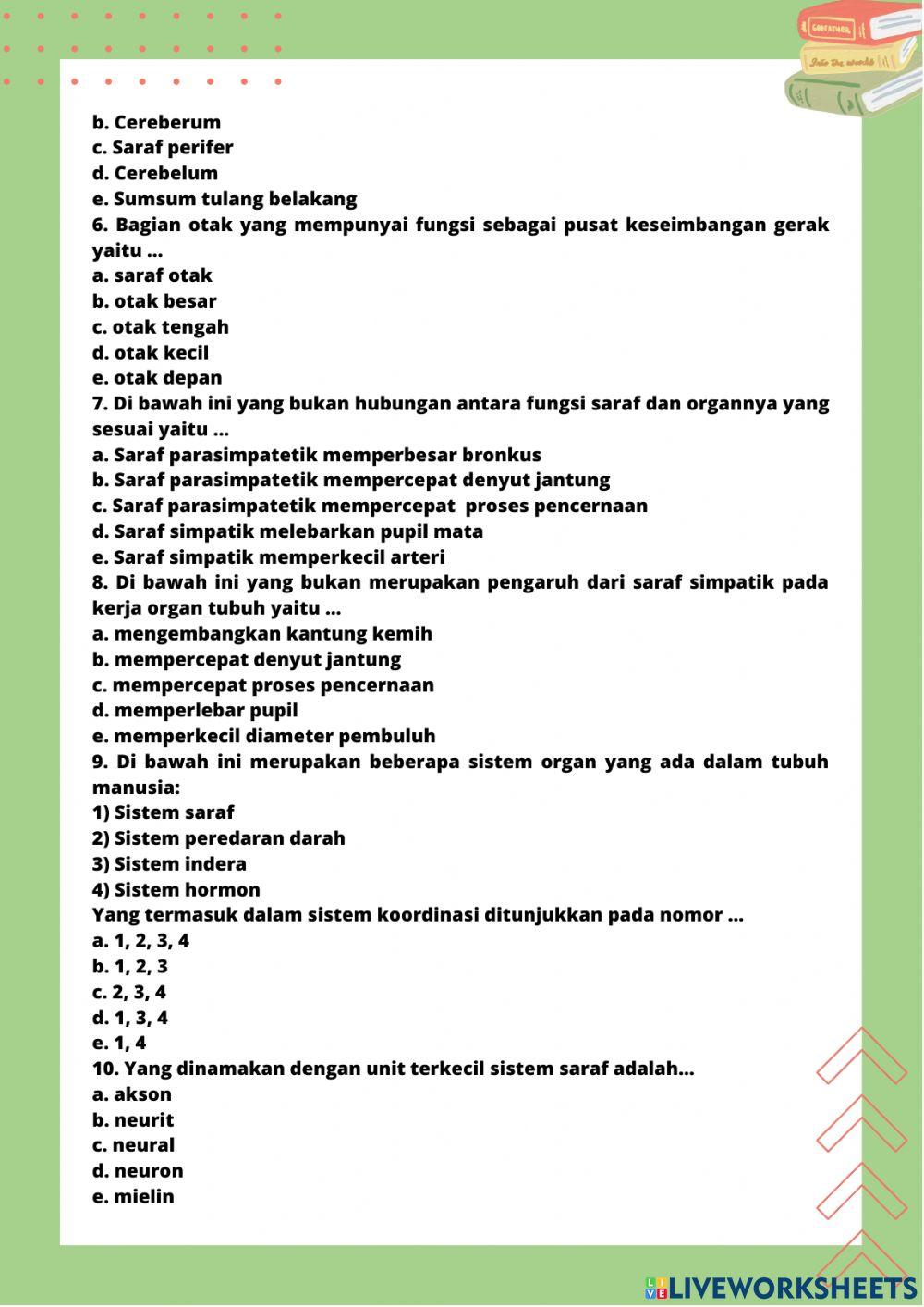 Sistem Koordinasi (Saraf