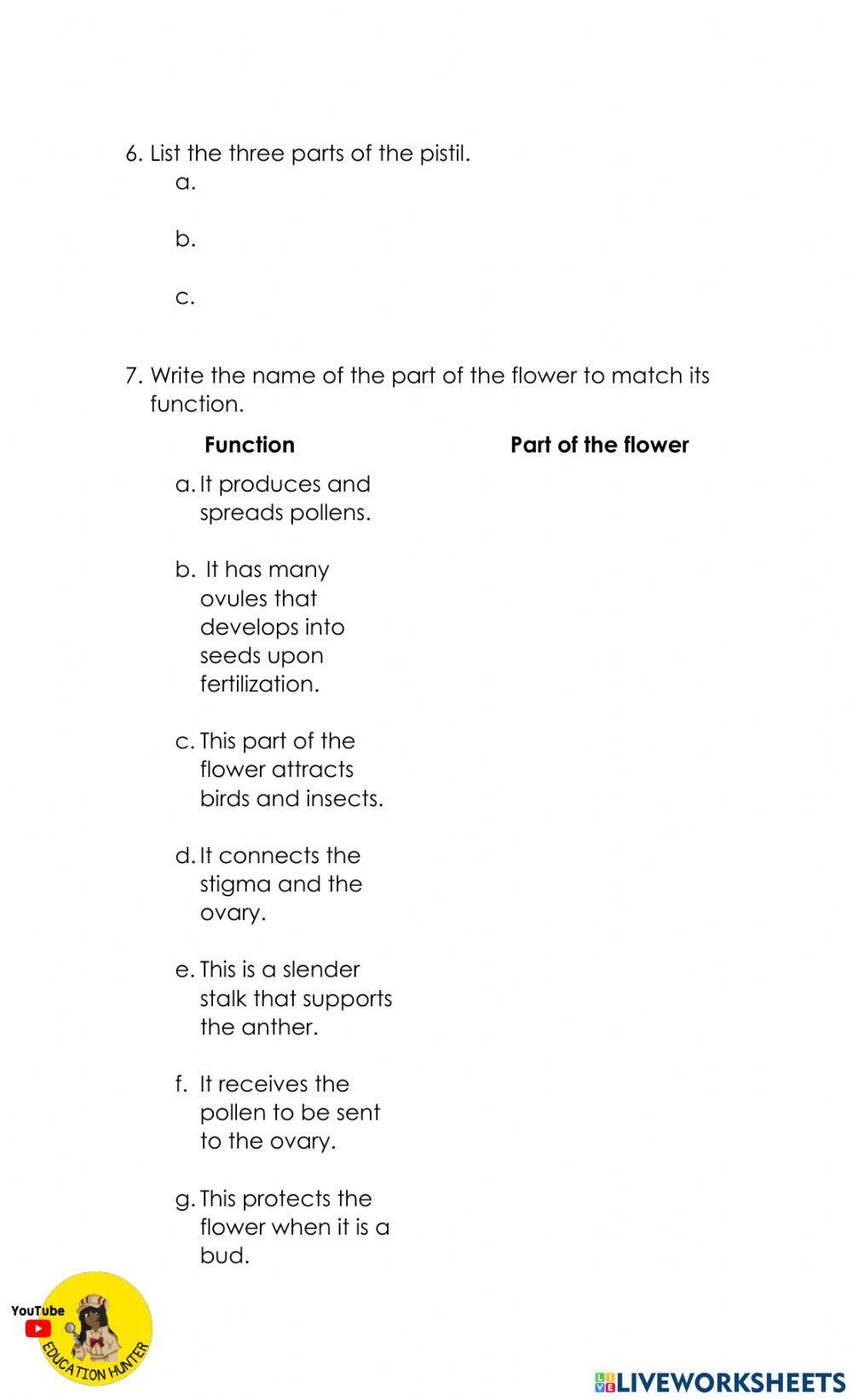 The Structure of a Flower