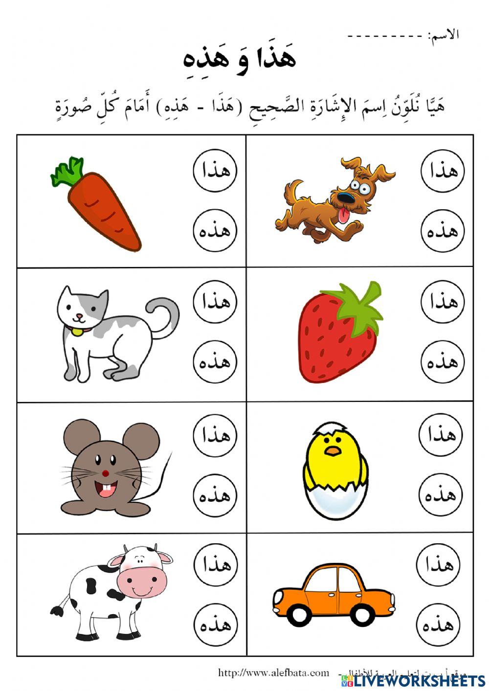 أسماء الإشارة هذا - هذه