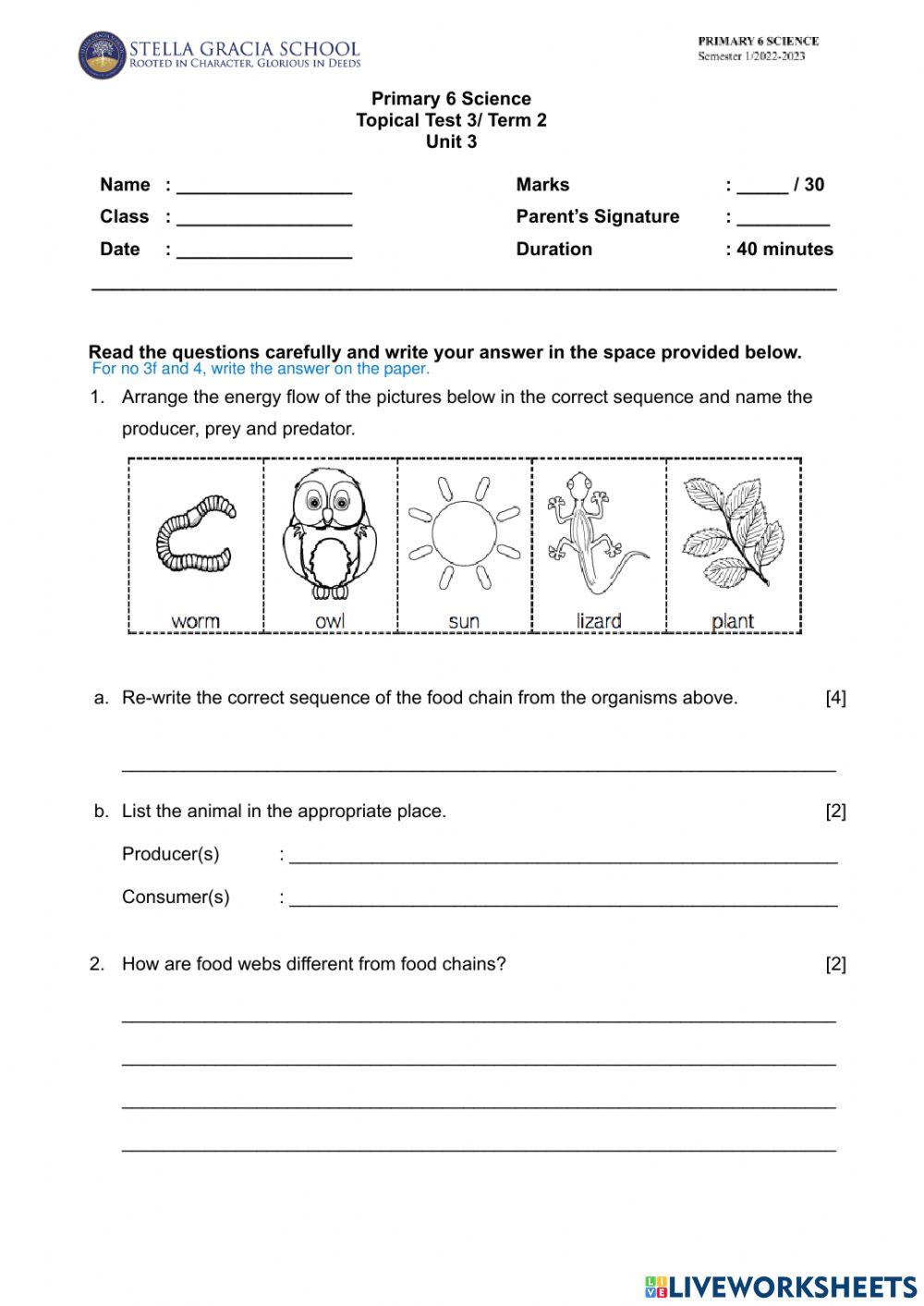 Food Chains and Food Webs