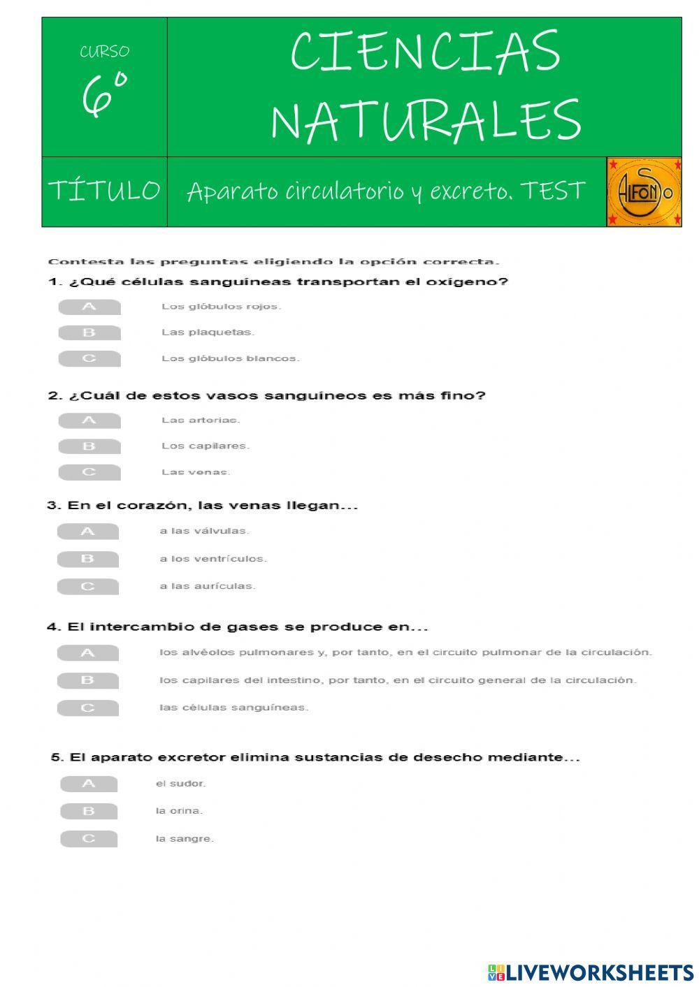Aparato circulatorio y excretor. TEST