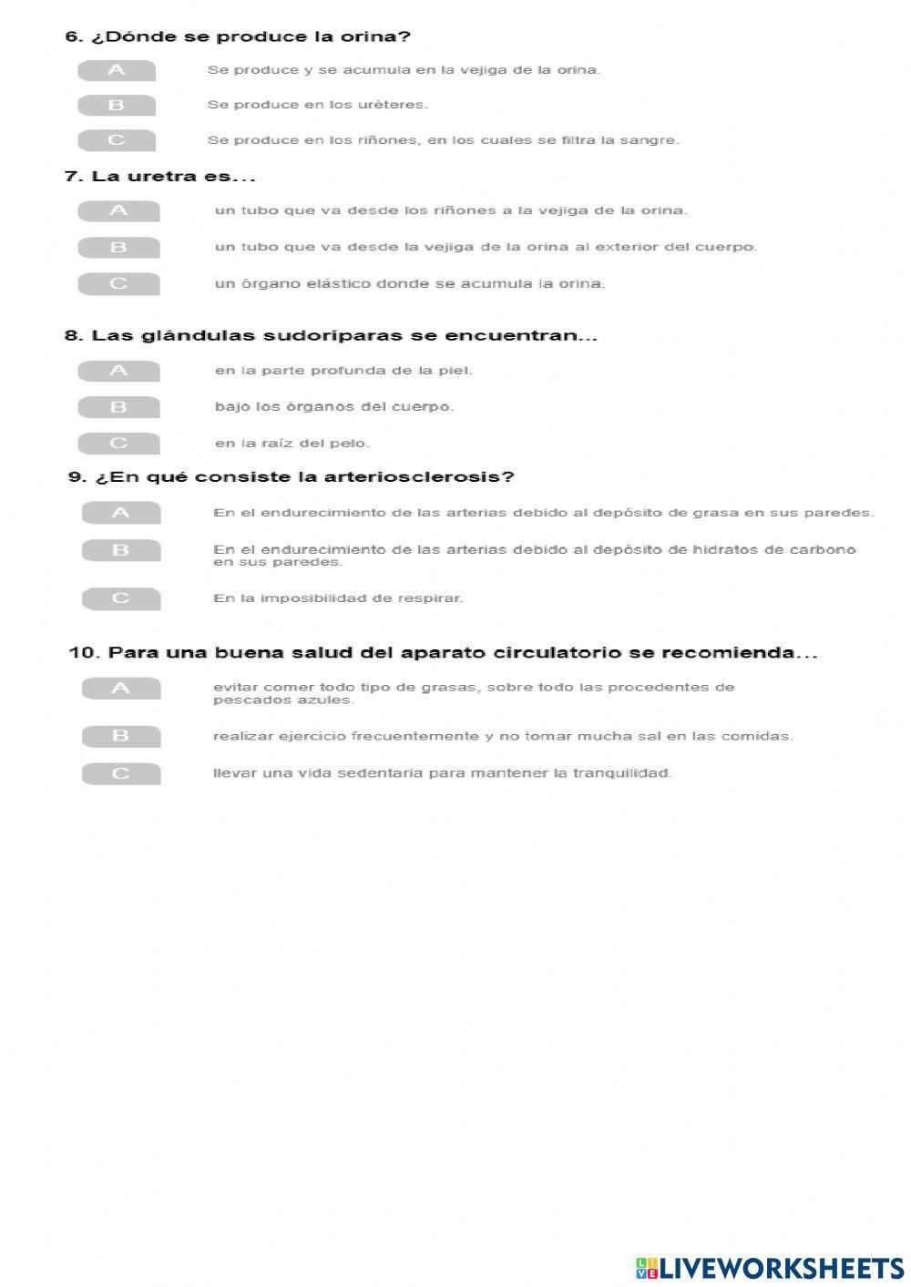 Aparato circulatorio y excretor. TEST