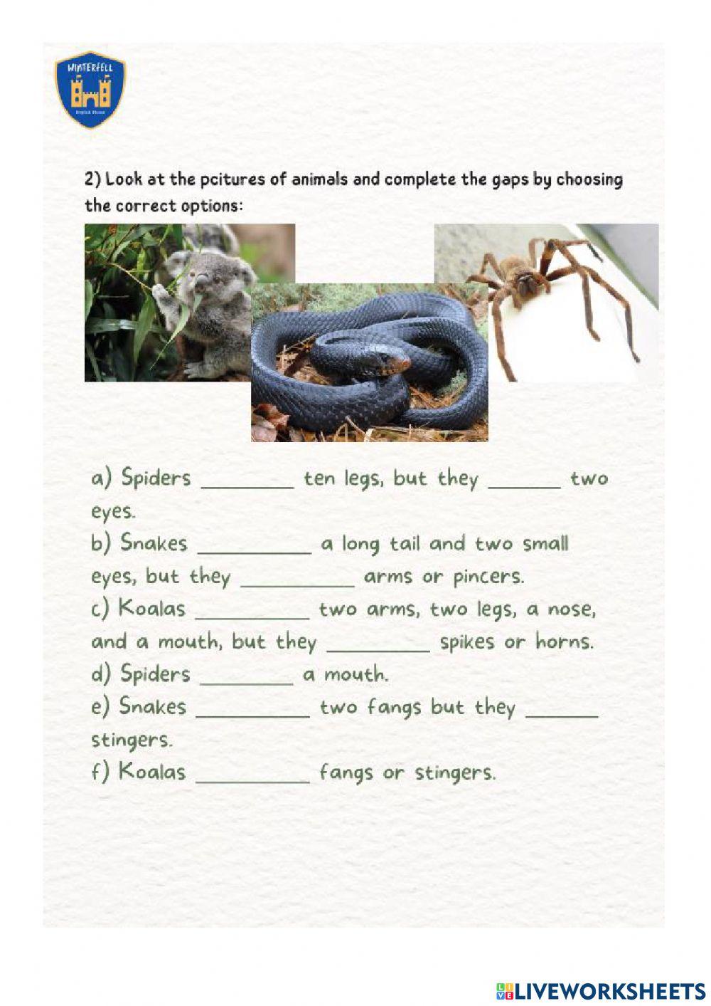 Back to the outback revision