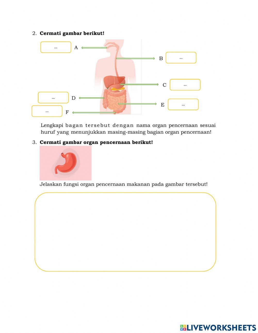 Tema 3 Sub Tema 1 Kelas 5 SD