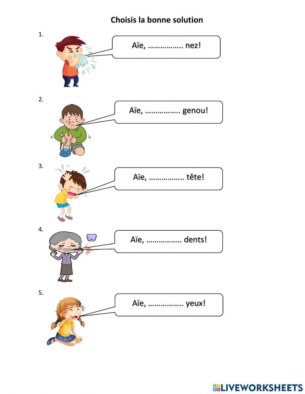Adjectifs possessifs