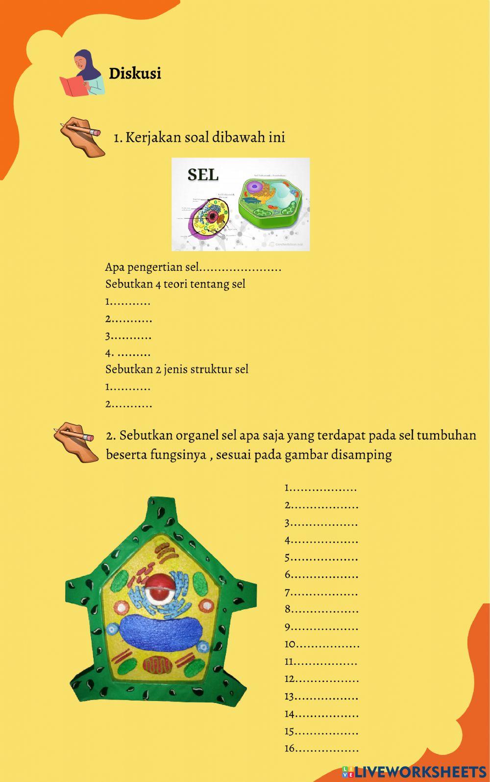 Lembar Kerja Siswa - SEL-