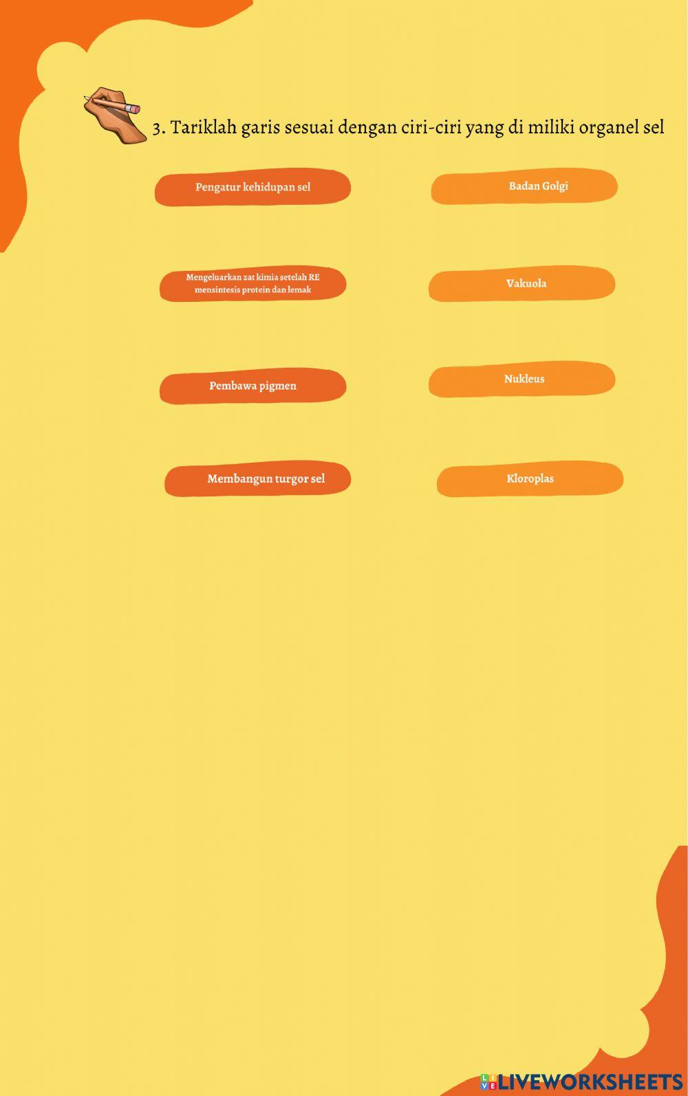 Lembar Kerja Siswa - SEL-