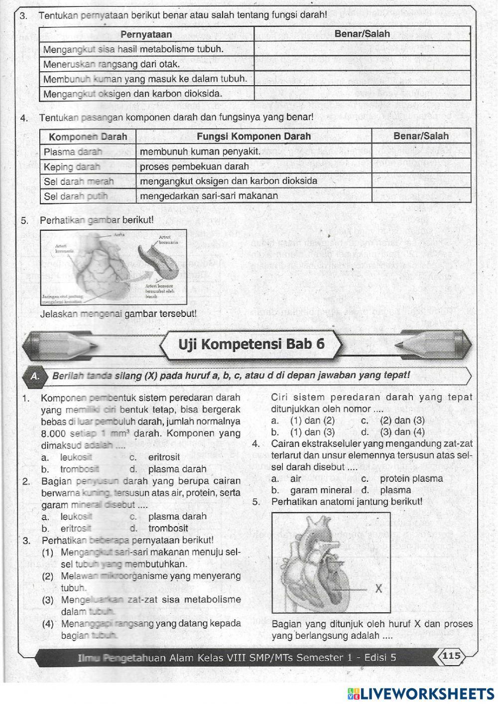 Sistem Peredaran Darah