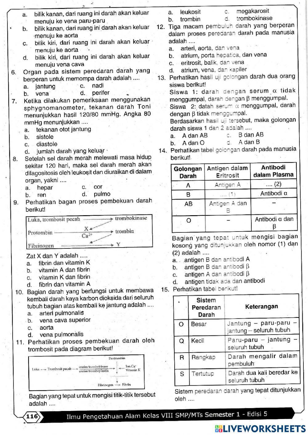 Sistem Peredaran Darah