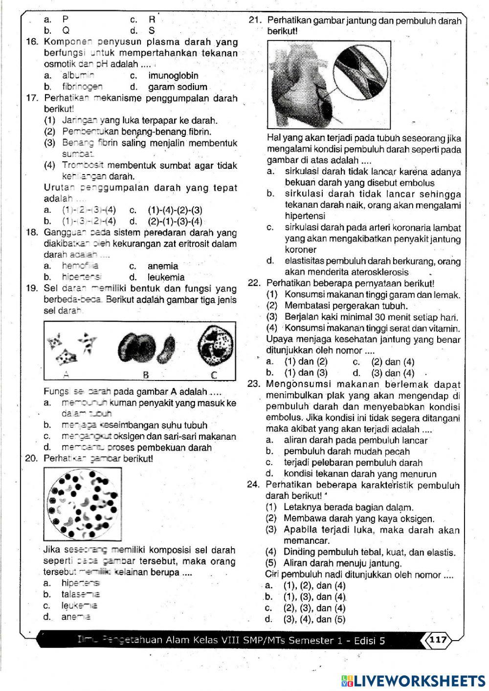 Sistem Peredaran Darah