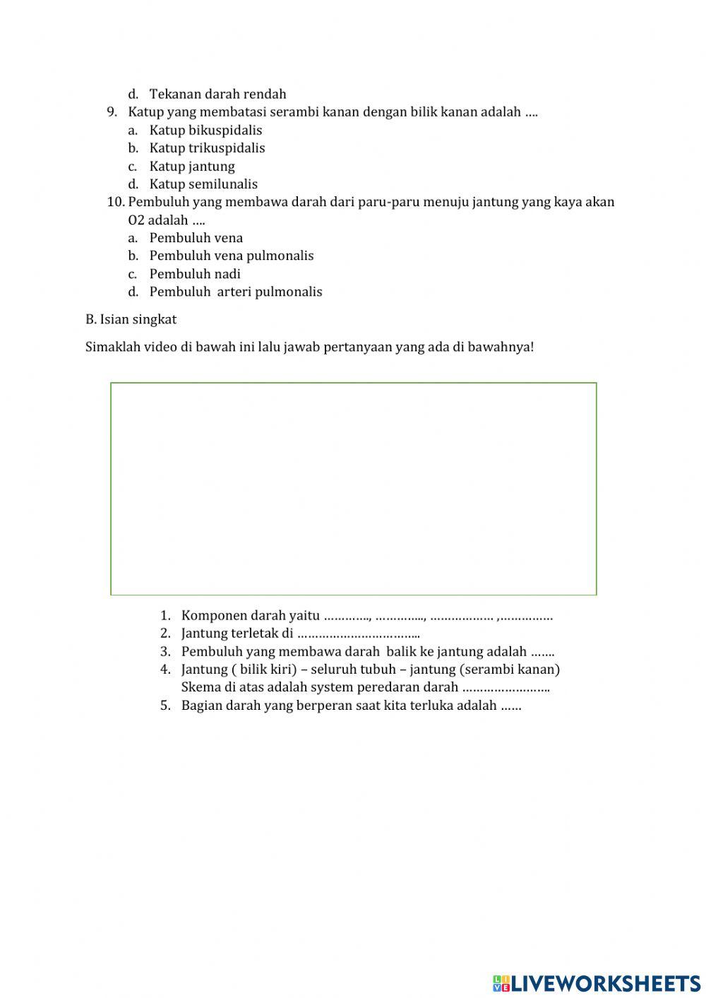 Peredaran darah manusia