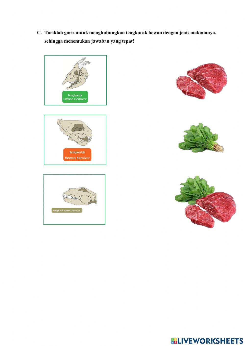 Lkpd komponen ekosistem