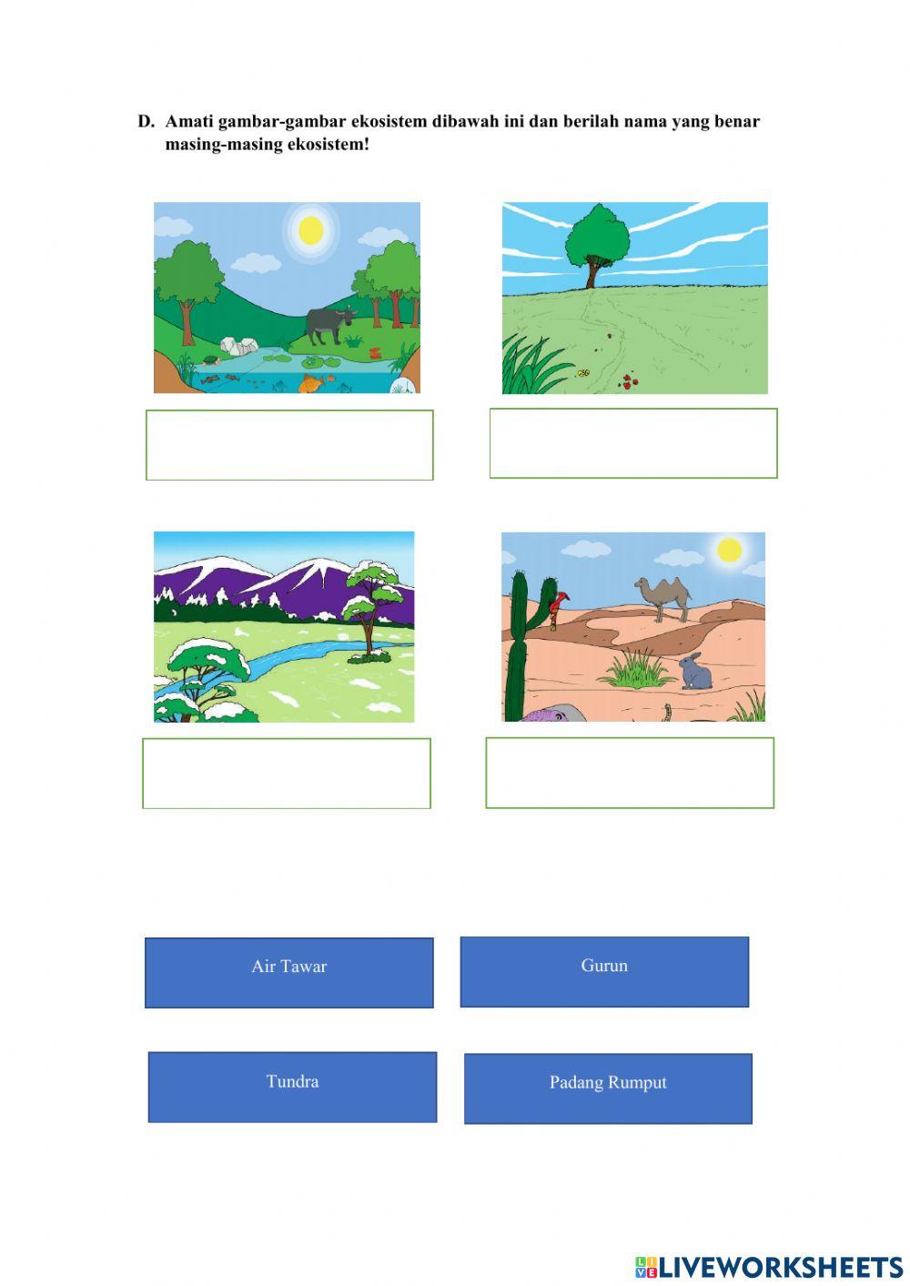 Lkpd komponen ekosistem