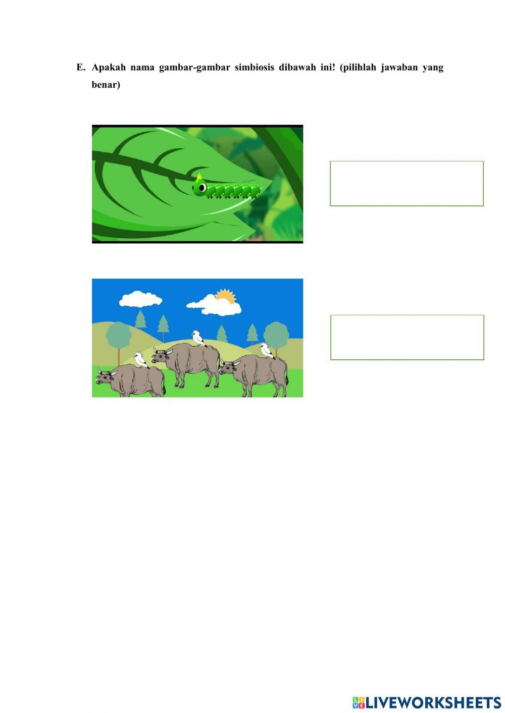 Lkpd komponen ekosistem