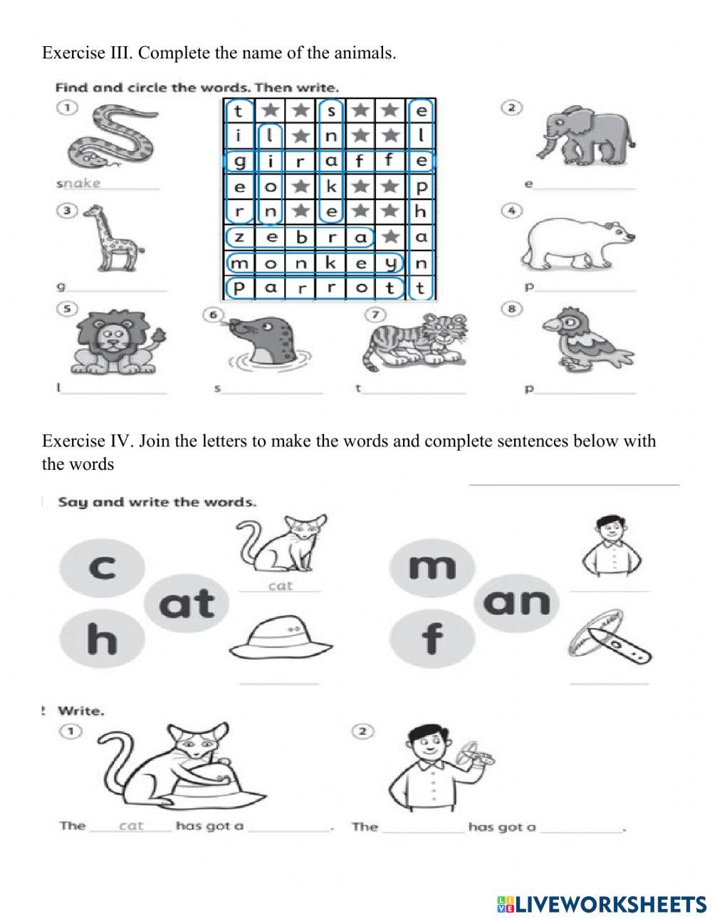 IP1 Practice Exercise 2
