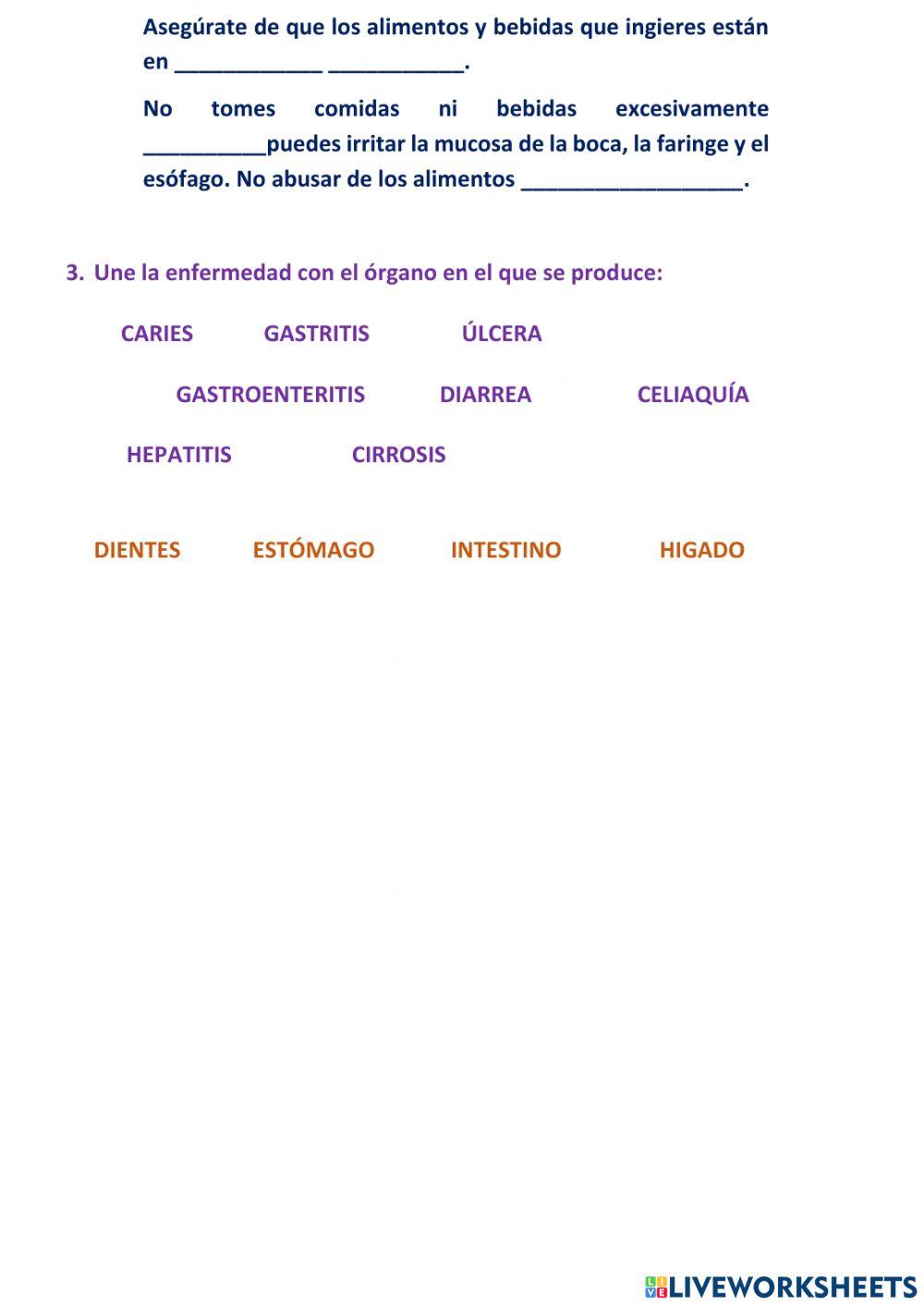 Prevención y enfermedades del aparato digestivo