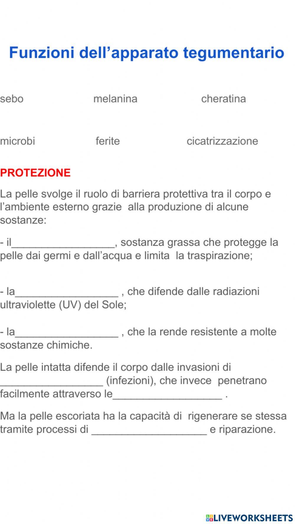 Funzioni apparato tegumentario