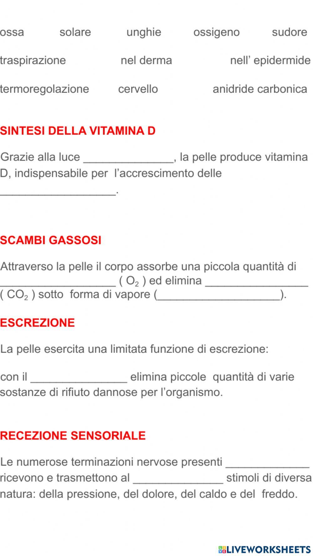 Funzioni apparato tegumentario