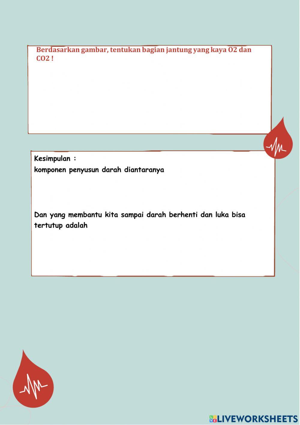 LKPD Sistem peredaran darah