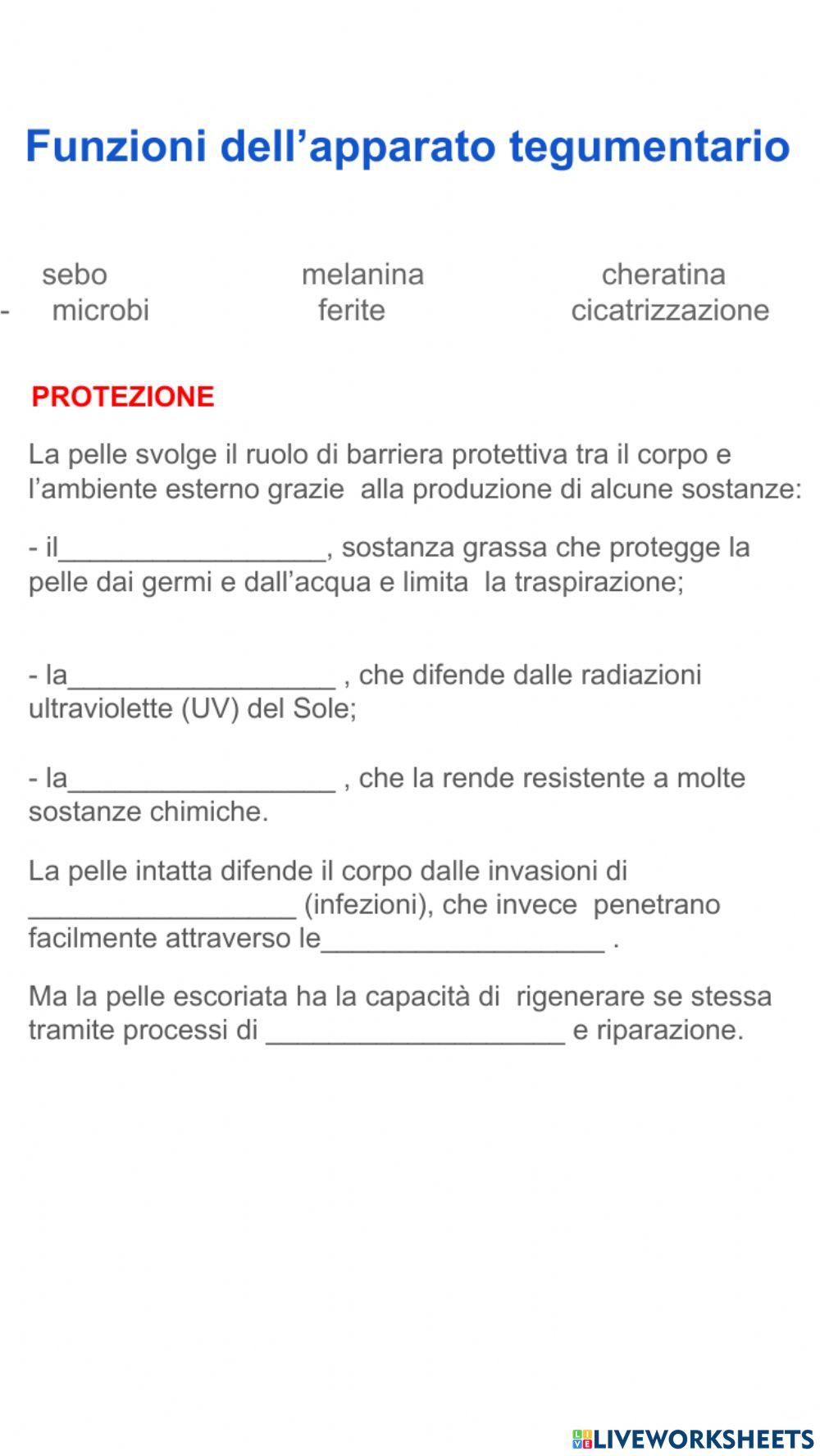 Funzioni dell'apparato tegumentario