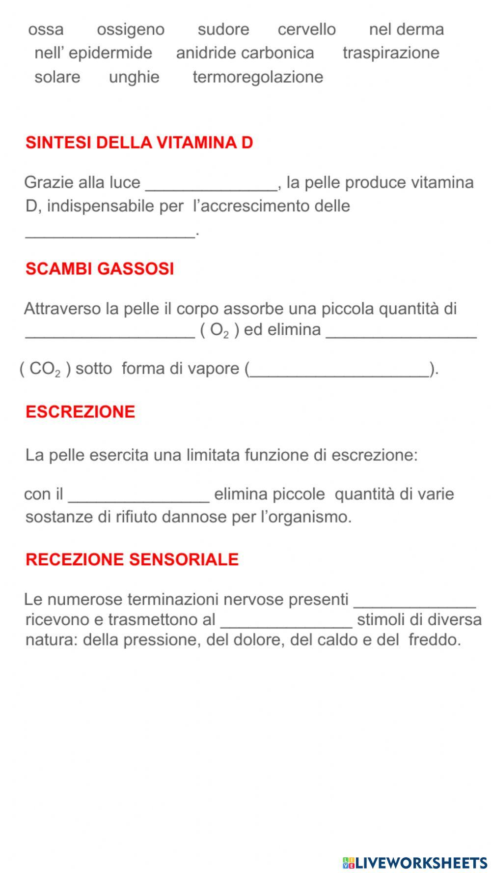 Funzioni dell'apparato tegumentario