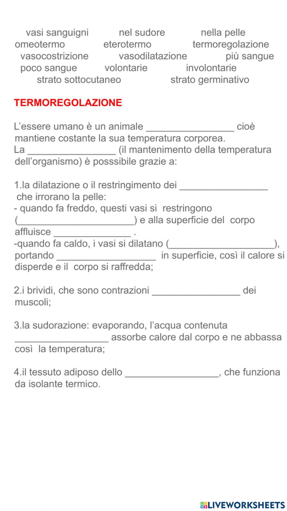 Funzioni dell'apparato tegumentario