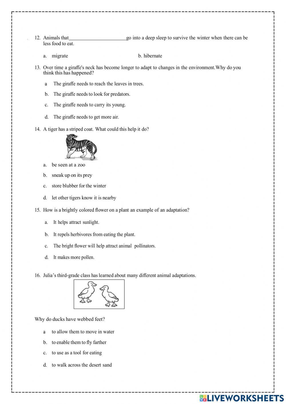 Adaptations and variations online exercise for live worksheets
