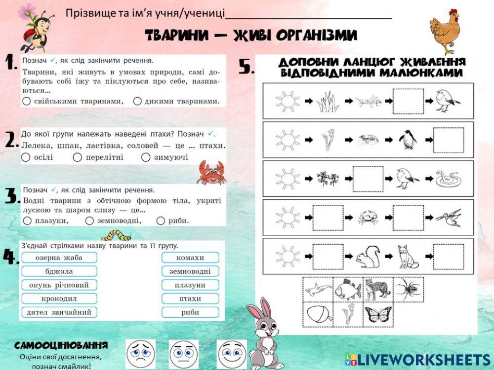 Тварини - живі орагнізми