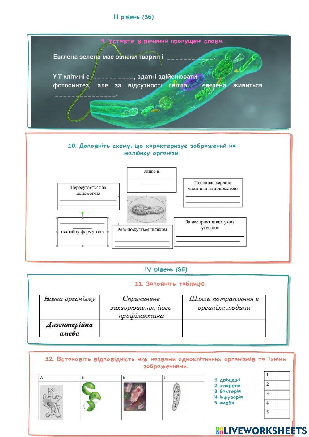 Контрольна робота. Одноклітинні організми. Перехід до багатоклітинності