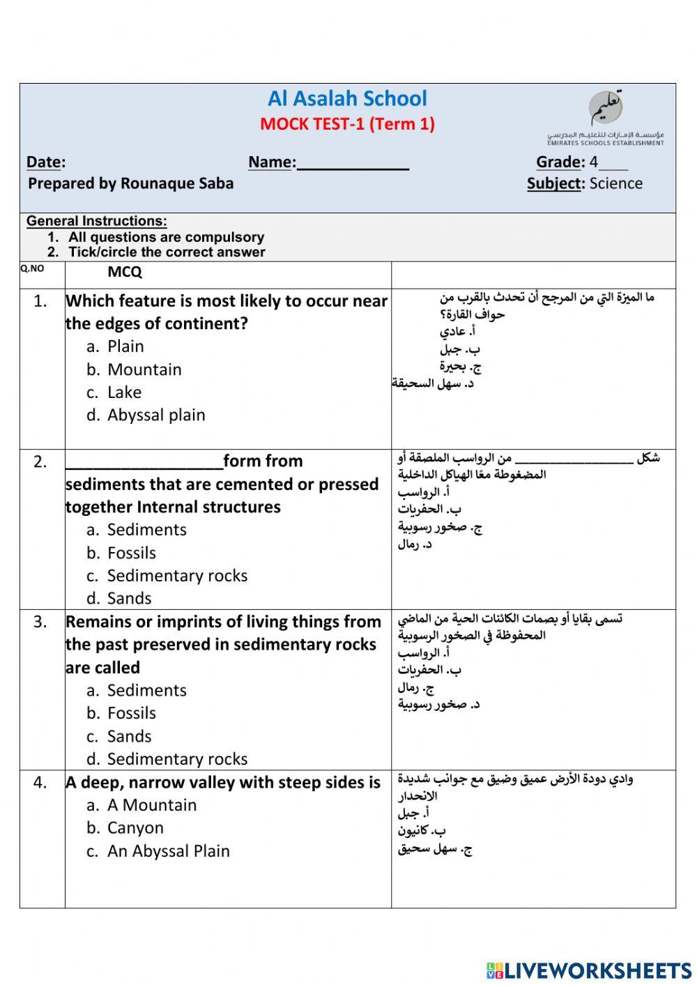Mock Test 1 - Term 1