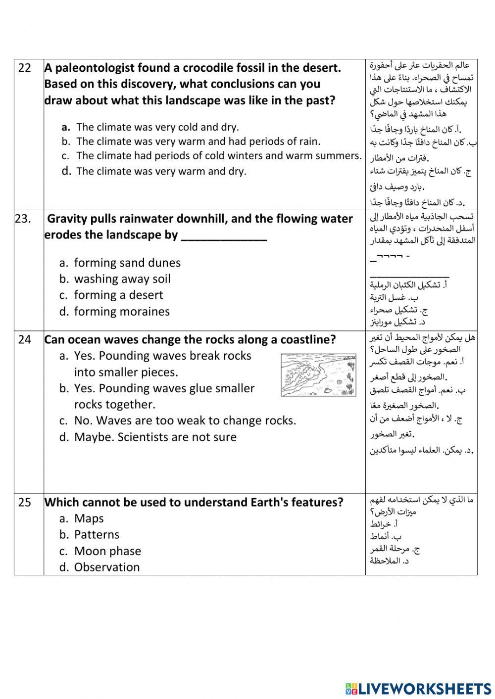 Mock Test 1 - Term 1