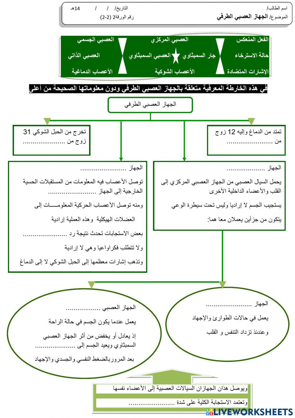 الجهاز العصبي الطرفي
