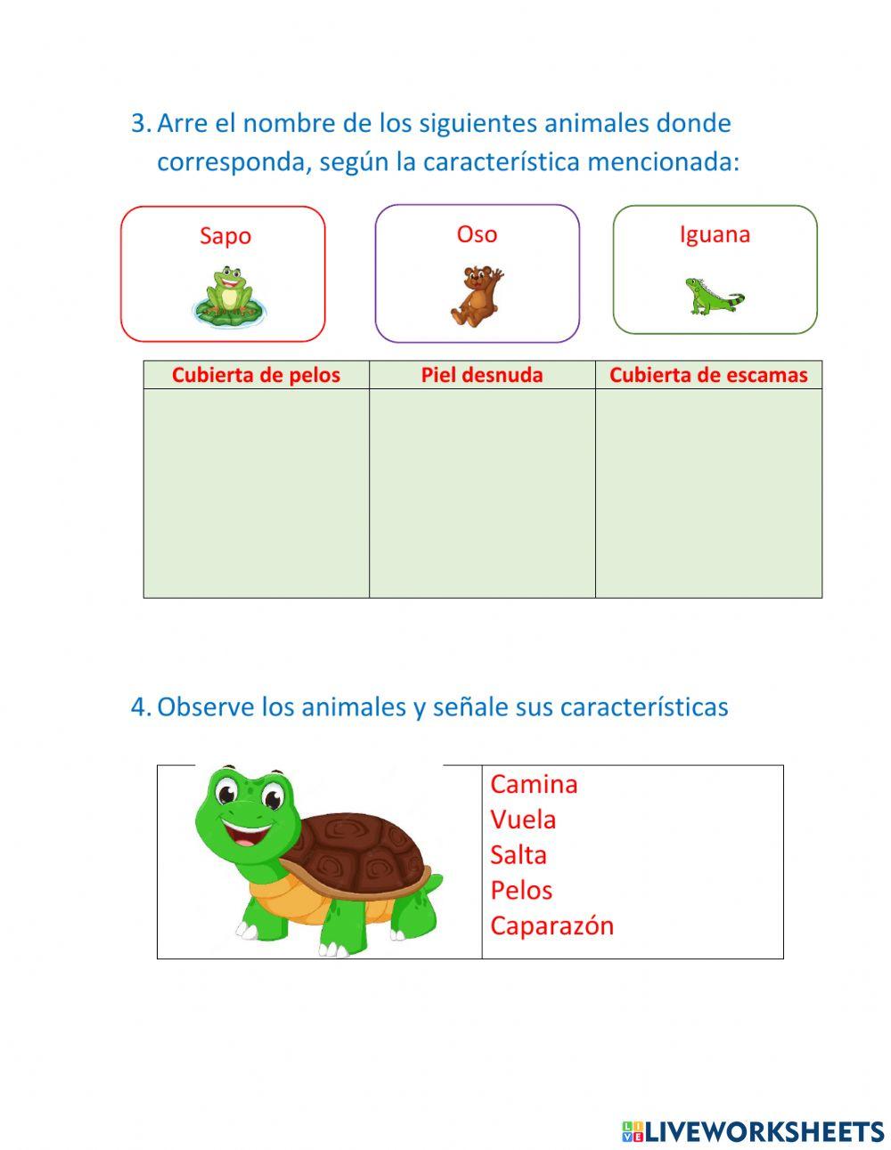 Caracterpisticas de los animales