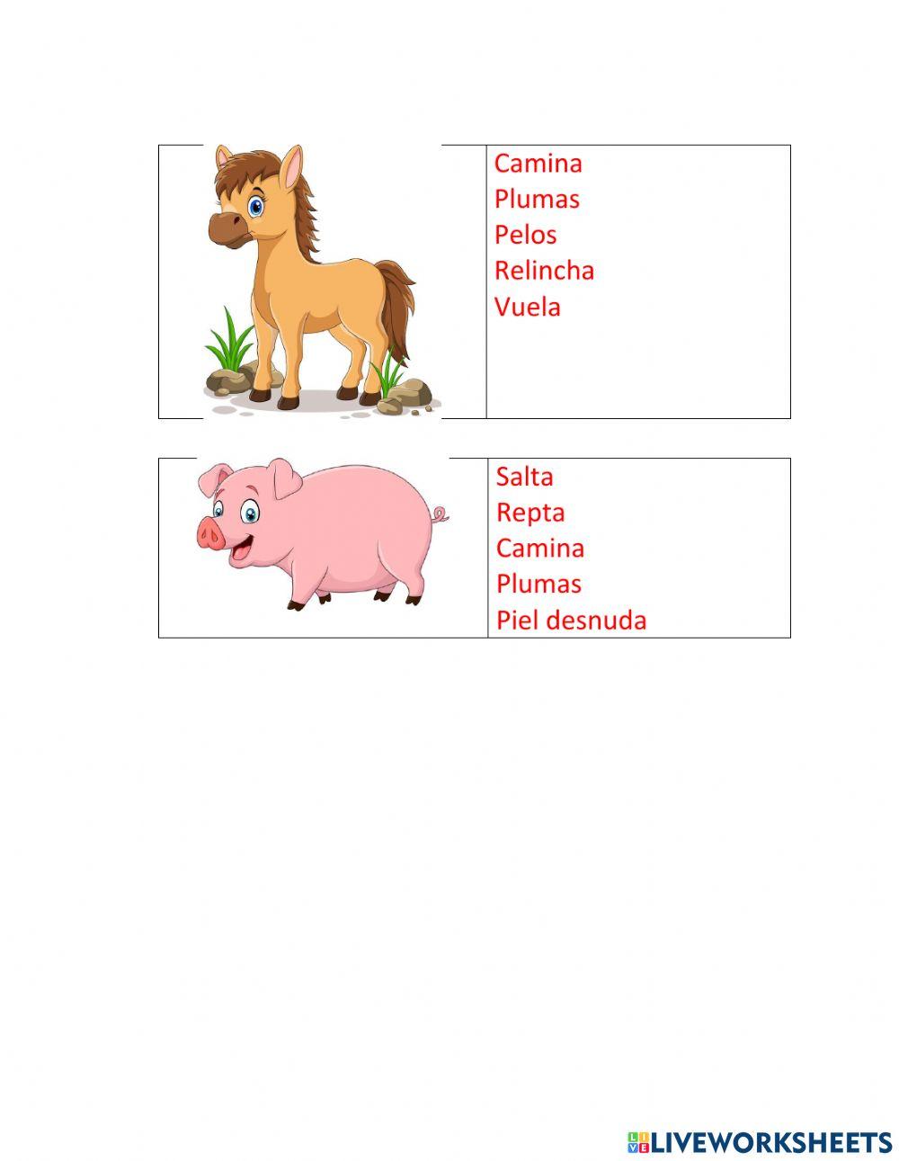 Caracterpisticas de los animales