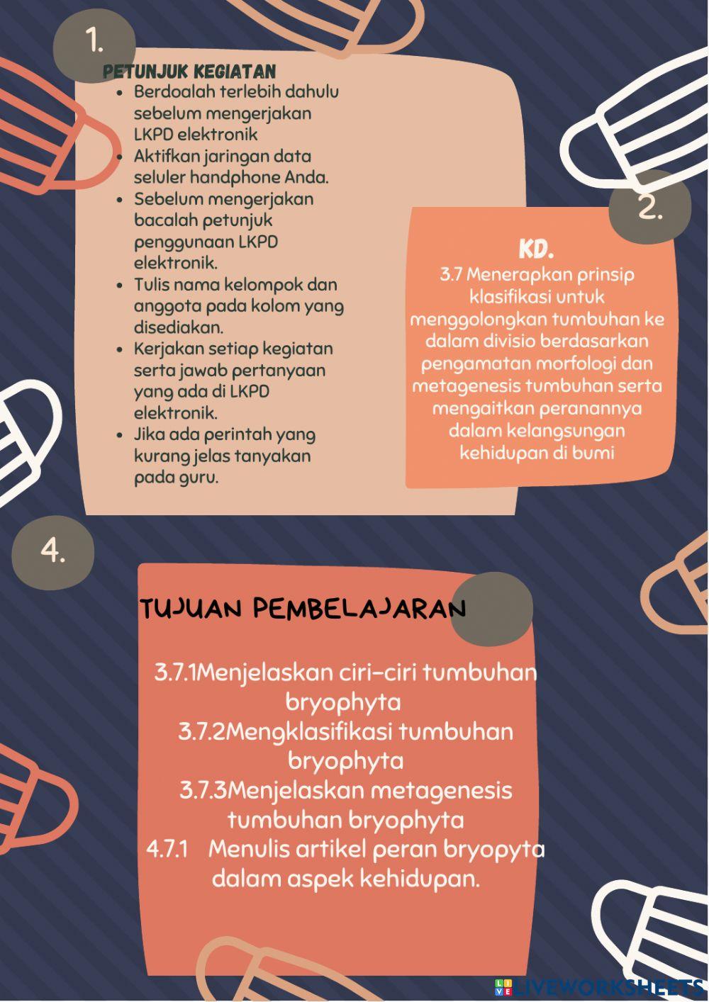 Lkpd bryophyta