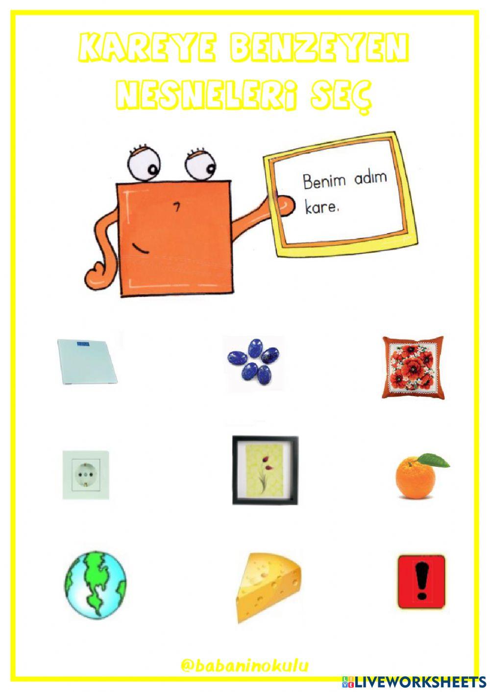 28-02 KASIM-ARALIK GENEL TEKRAR CUMARTESİ