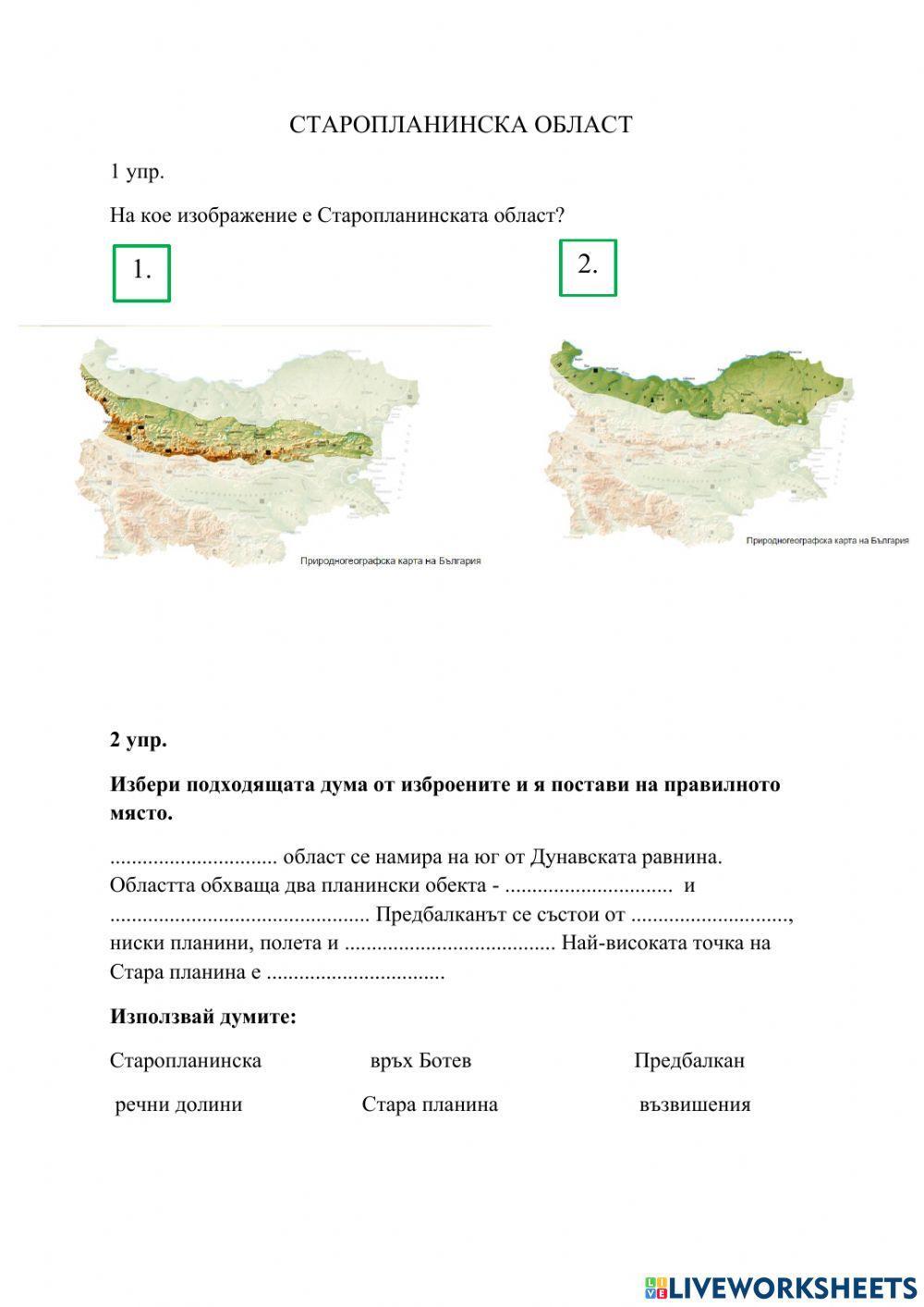 2225193 | Старопланинска област | Теодора Тодорова