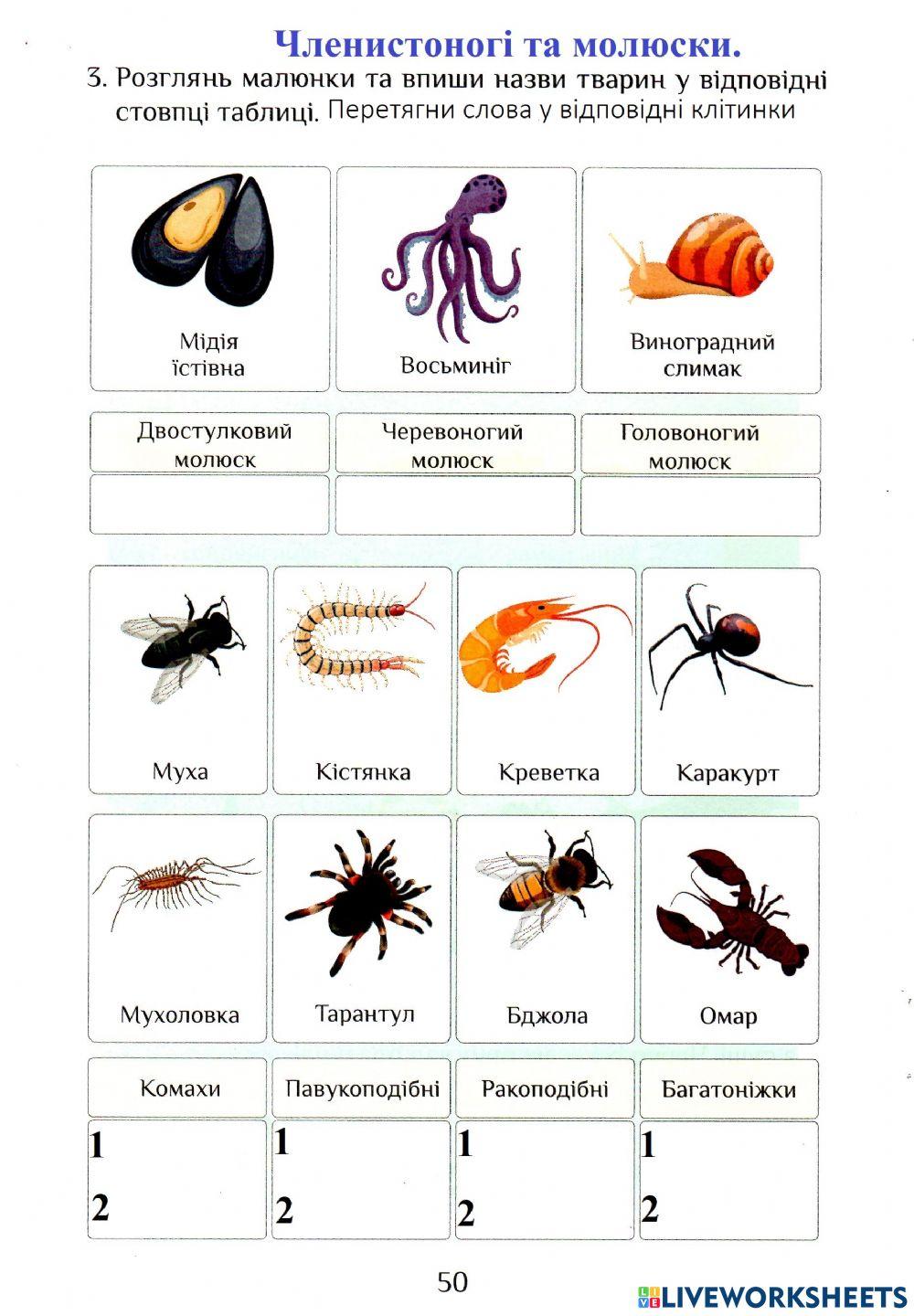 Ядс Робочий зошит с.50 worksheet | Live Worksheets
