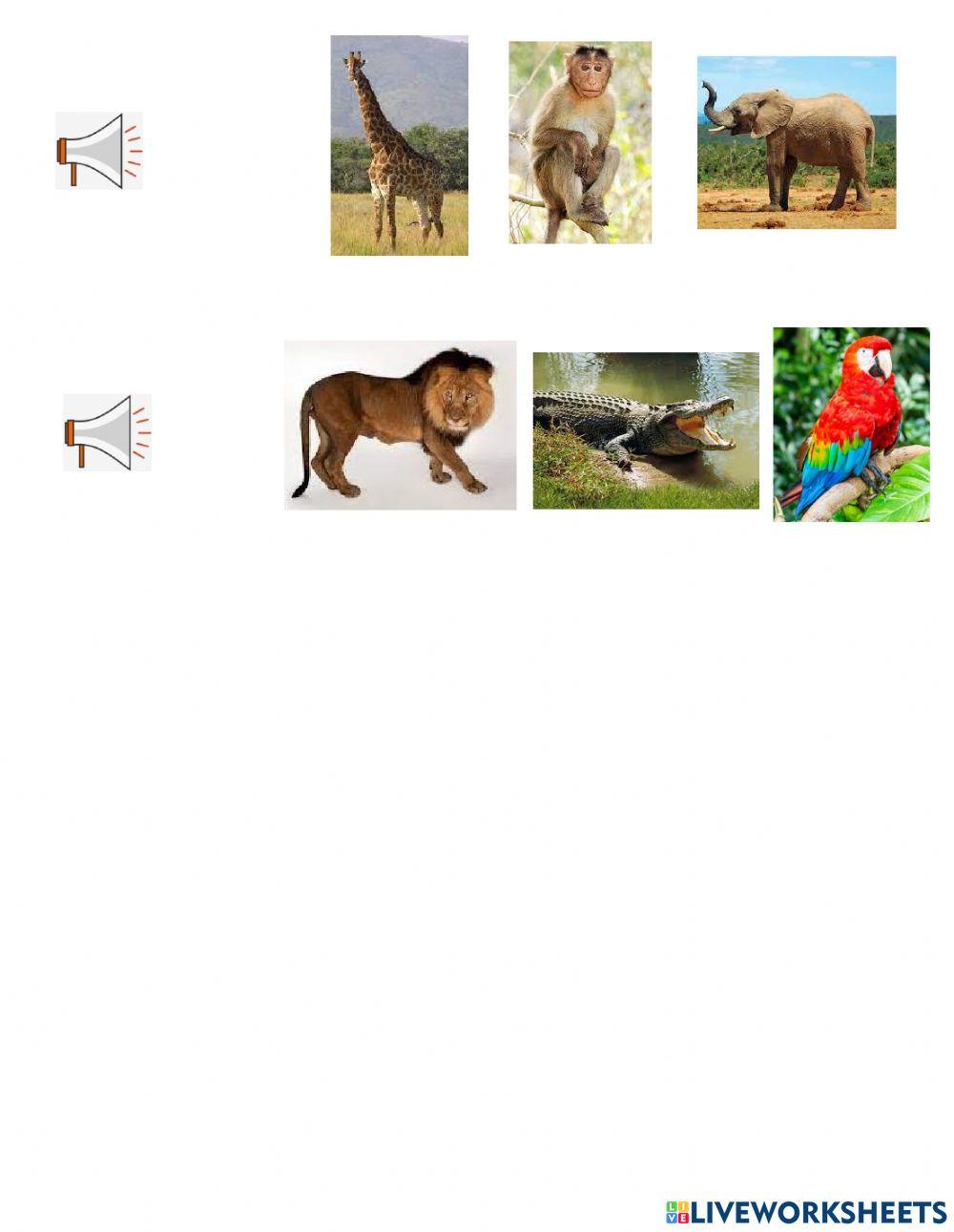 Which animals live in the wild? – Topic: Wild animals