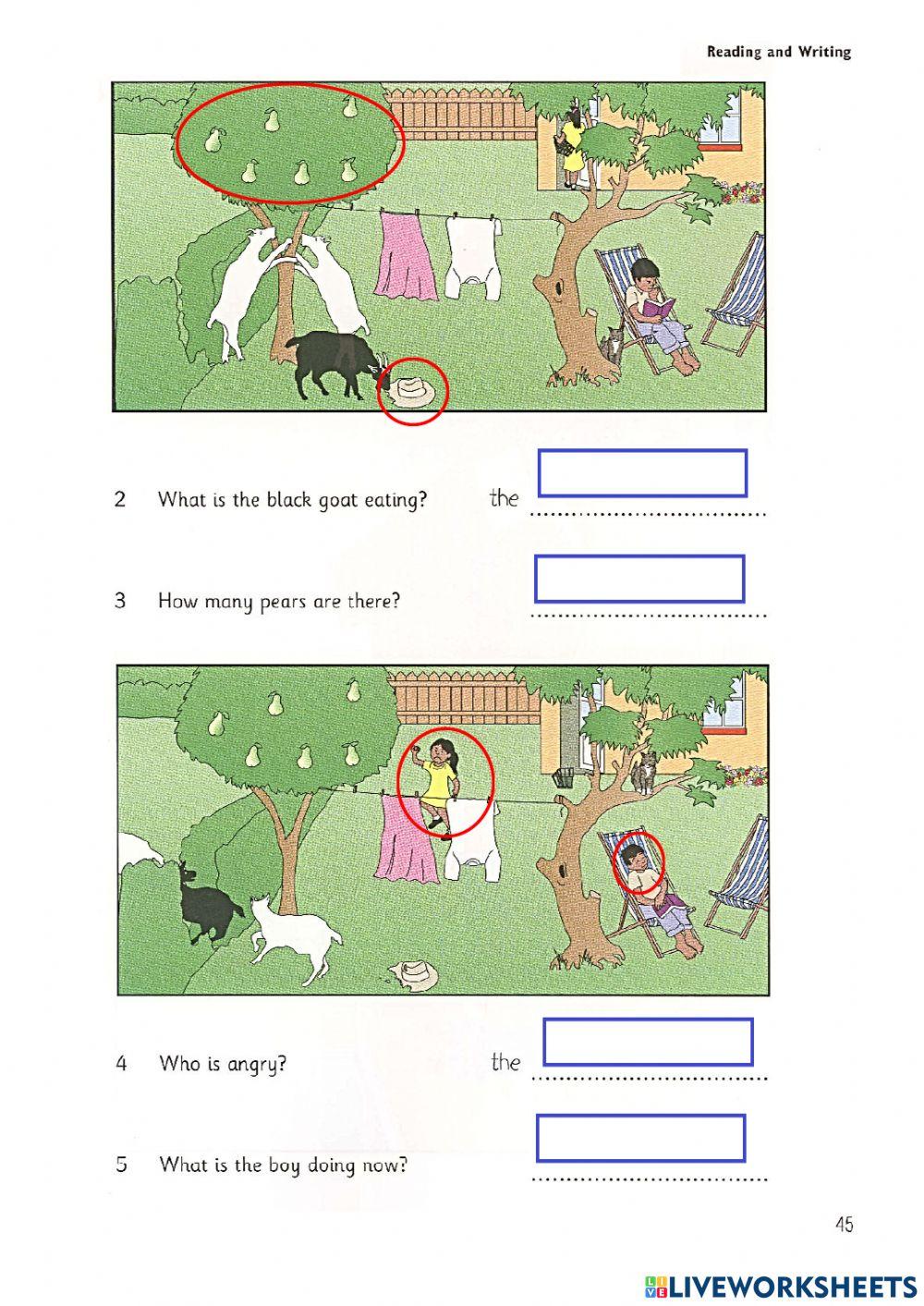 2225416 starter reading writing lo hang