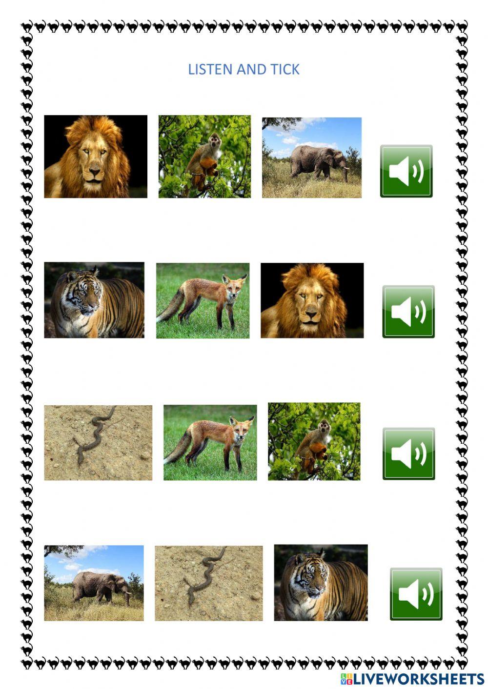 How To Get Free Points On Wild Animals Online Wild animals online exercise for 4 Y 5 AÑOS | Live Worksheets