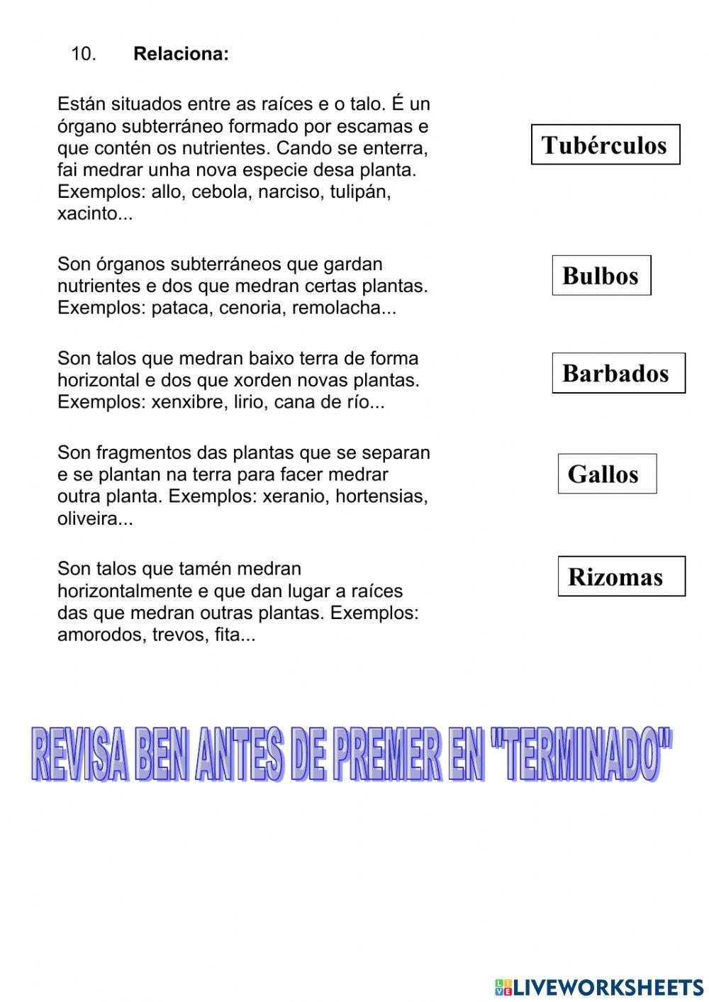 Animais invertebrados e plantas