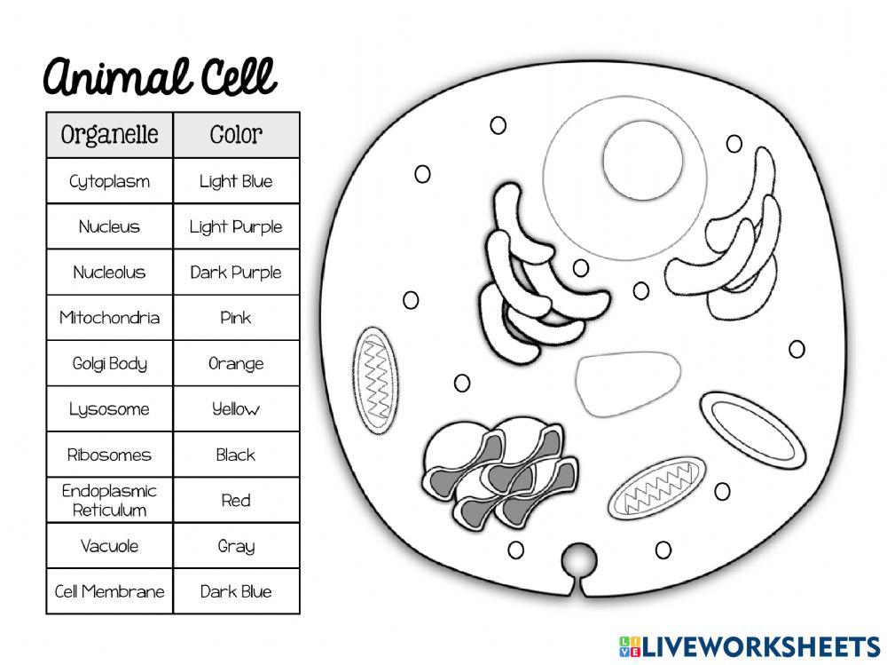 Cell Coloring Cell Coloring