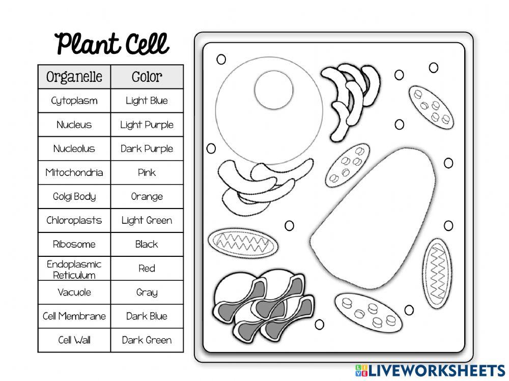Cell Coloring Cell Coloring