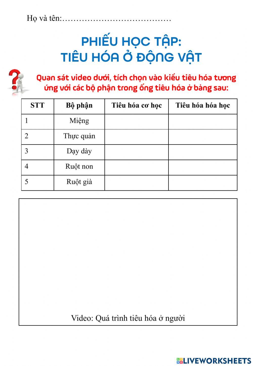 Tiêu hóa ở động vật