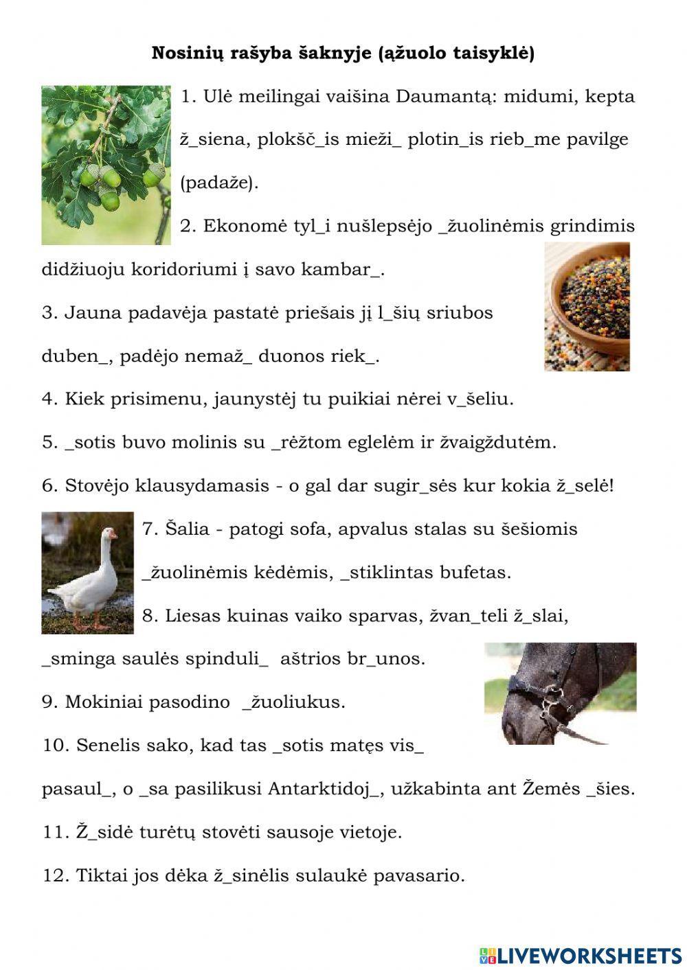 Nosinių rašyba šaknyje (ąžuolo taisyklė)