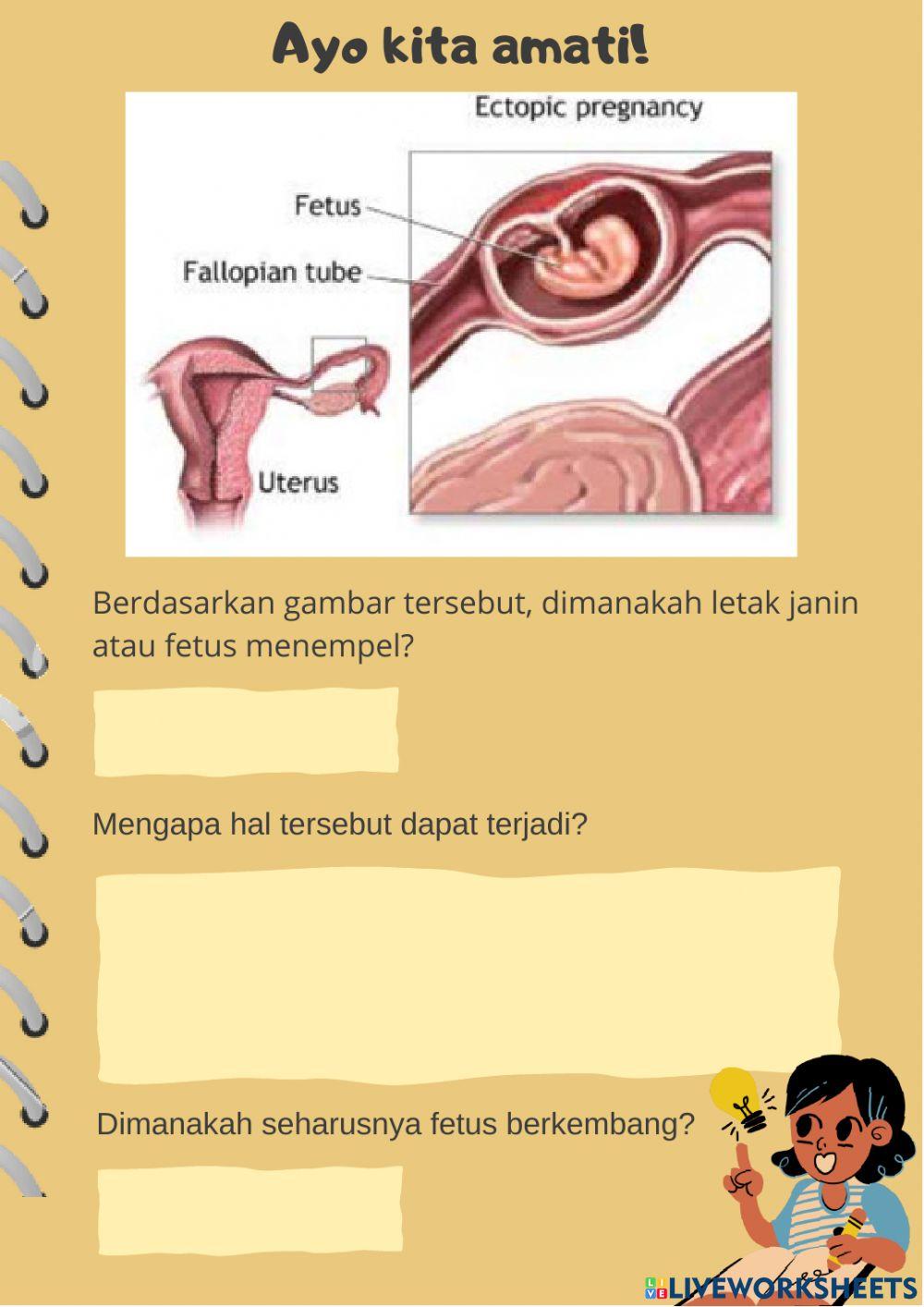 E-lkpd sistem reproduksi aksi 1