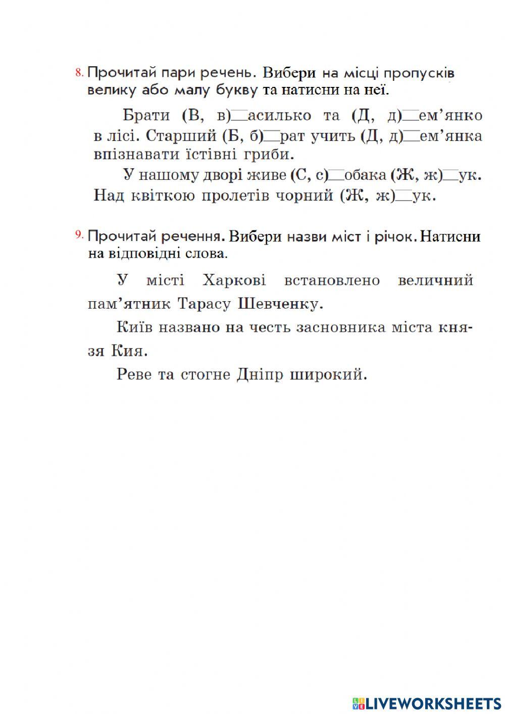 Узагальнення і систематизація знань учнів за розділом «Слова — назви предметів (іменники)» (мовна тема)